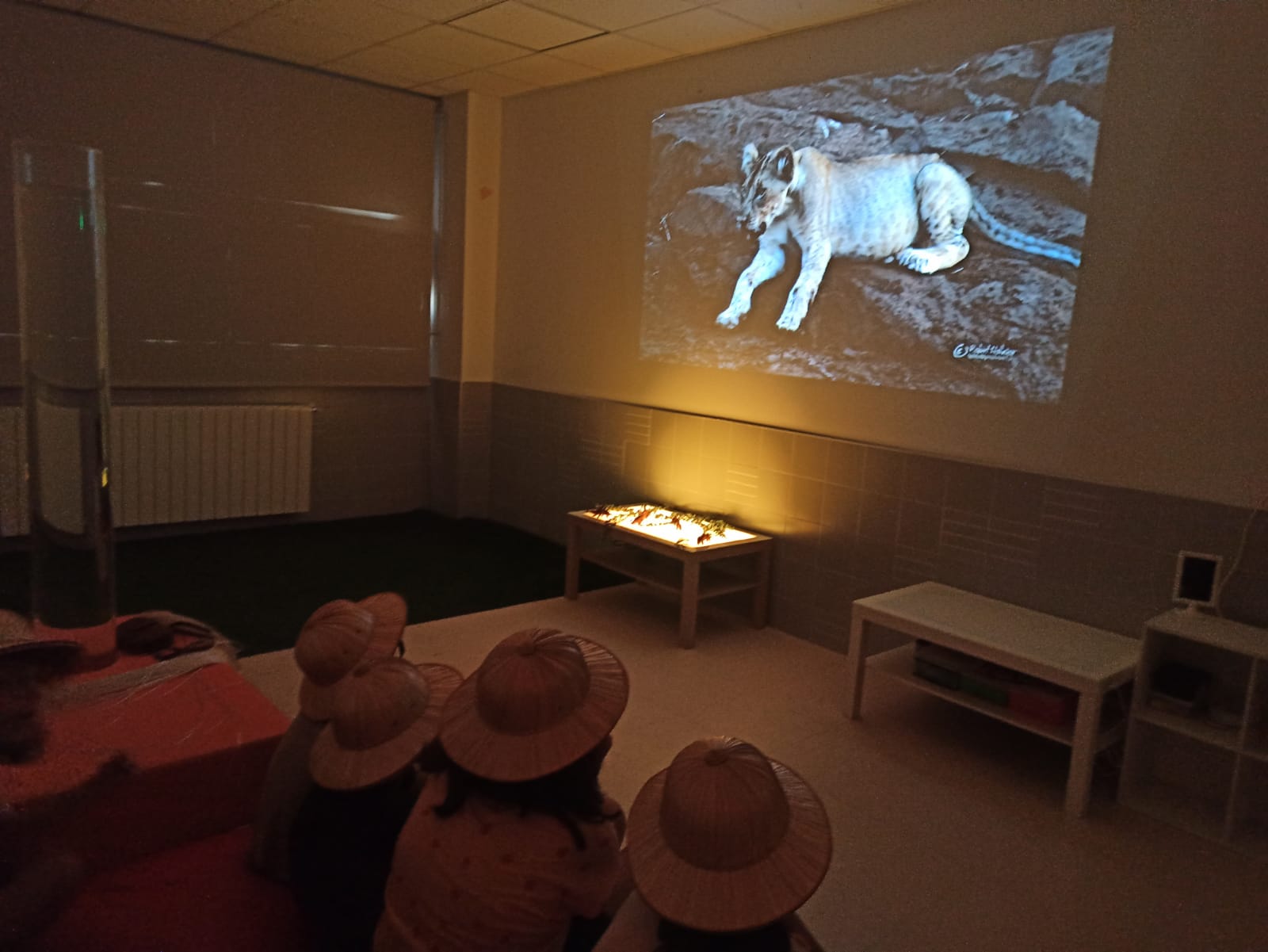 Multisensorischer Raum Schule Afrikareise