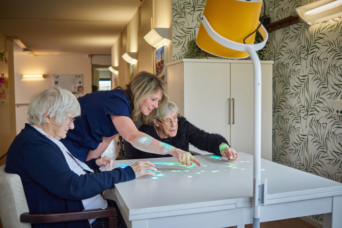 Tovertafel Pixie - Seniorinnen spiele